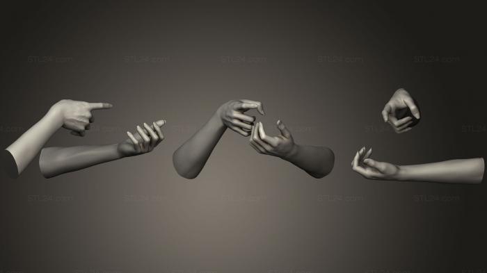 Anatomy of skeletons and skulls (Female Hands 17, ANTM_0486) 3D models for cnc